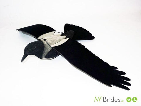 Grey Crow With Wings