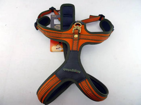 Niggeloh Blood Tracker Harness L Orange